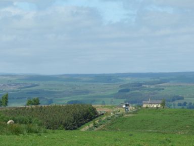 A countryside landscape with rolling green fields a house a driveway a car and some trees at Humbleton Cottage in Haydon Bridge near Hexham