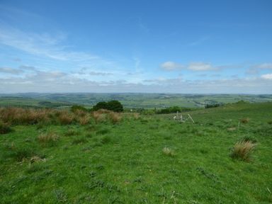 A grassy field with scattered bushes and a view of distant hills under a blue sky at Humbleton Cottage in Haydon Bridge near Hexham