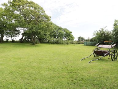 A large grassy yard with several trees and a wooden carriage at Bodegri Cottage in Llanrhyddlad near Church Bay