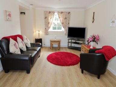 A living room with leather sofas a television and red rug at Bodegri Cottage Llanrhyddlad near Church Bay