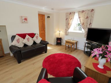 A living room with a brown leather sofa with floral cushions a red rug a television on a stand and a vase of pink flowers on a wooden table at Bodegri Cottage Llanrhyddlad near Church Bay