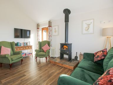 A living room with green armchairs, a green sofa, a wood-burning stove, a mounted TV, and wooden flooring at Stoney-Brook Lodge in Bedlam near Ludlow