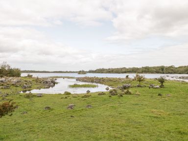 A grassy landscape with rocks and small trees near a body of water at Lough Mask Road Fishing Cottage in Ballinrobe County Mayo