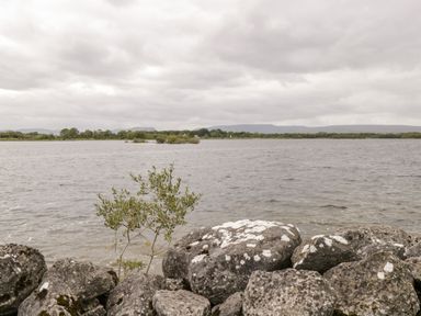 A rocky shoreline with a small plant growing among stones by a lake with distant trees and mountains at Lough Mask Road Fishing Cottage in Ballinrobe County Mayo