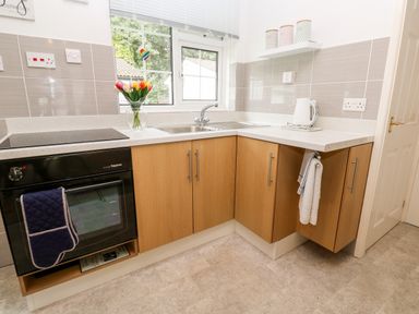 A kitchen with wooden cabinets a built in oven a sink and a window with a vase of flowers on the countertop at Brook Haven Rosecraddoc Lodge near Liskeard Cornwall