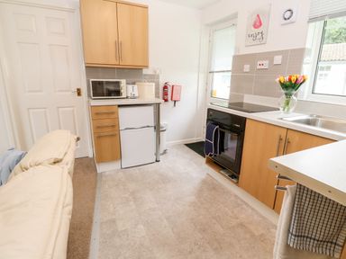 A kitchen with wooden cabinets a microwave fridge oven and a vase of tulips at Brook Haven in Rosecraddoc Lodge near Liskeard Cornwall