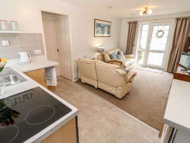 A kitchen area with a stovetop and sink next to a living room with two beige sofas and glass doors at Brook Haven Rosecraddoc Lodge near Liskeard Cornwall