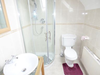 A bathroom with a corner shower enclosure a toilet with a purple mat a sink with a wooden frame mirror and a radiator at Cookies Cottage in Ballyshannon County Donegal