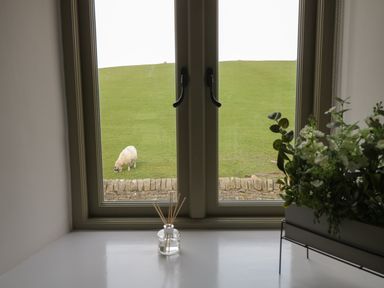A window with two handles overlooking a grassy hill with a sheep and a stone wall and a diffuser and flowers on the windowsill at Crane Field Laithe in Otterburn North Yorkshire