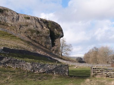 A rocky hill with dry stone walls and sheep grazing in a fenced pasture with trees in the background at Crane Field Laithe Otterburn North Yorkshire
