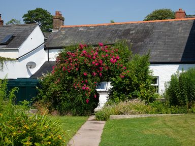 A garden pathway leading to a house with a flowering arch and green bushes at 3 Horse Pool Road in Laugharne