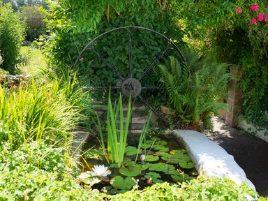 A garden pond with lily pads and a water wheel surrounded by green plants and flowers at 3 Horse Pool Road in Laugharne