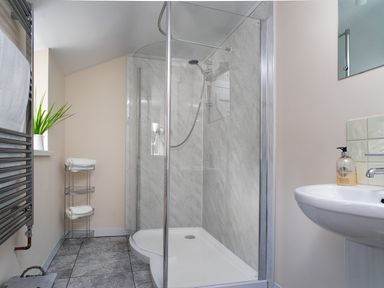 A bathroom with a glass shower enclosure a sink with hand soap a towel rack with towels and a plant on a window sill at 3 Horse Pool Road in Laugharne