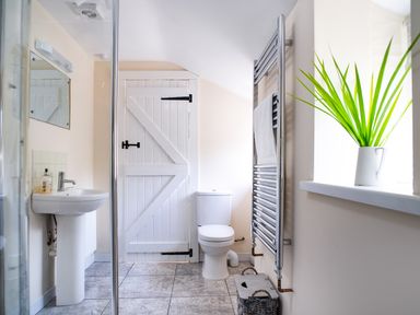 A bathroom with a white toilet a white sink a mirror a towel rack and a window with a plant at 3 Horse Pool Road Laugharne