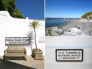 A wooden bench and a potted palm tree next to a white wall with a vintage seaside resort sign a rocky beach with people sunbathing and swimming a sign that says to the tunnels bathing pools and beaches at No 6 Arlington Villas in Ilfracombe