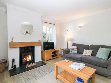 A living room with a fireplace a gray sofa wooden tables and a television at Glan Dwr in Red Wharf Bay