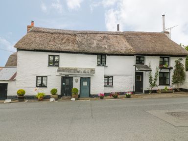 A white cottage with a thatched roof and flower pots outside on the street at Easterly Cottage in Bude