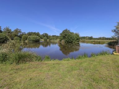 A grassy area with a pond surrounded by trees under a clear blue sky at Lakeside Lodge in East Harling near Thetford