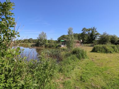 A pond with reeds and trees next to a grassy area and a wooden cabin at Lakeside Lodge in East Harling near Thetford