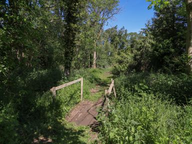 A small wooden bridge on a dirt path surrounded by dense green vegetation and trees at Lakeside Lodge East Harling near Thetford