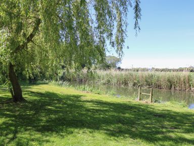 A grassy riverbank with a tree and tall reeds by the water at Lakeside Lodge in East Harling near Thetford