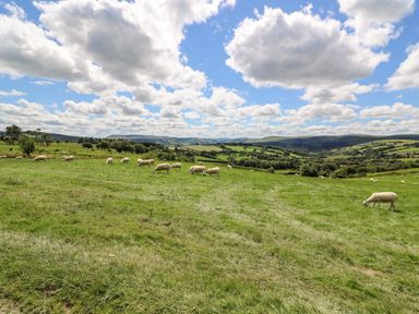 A grassy field with sheep grazing under a partly cloudy sky at Meadow View in Rhayader