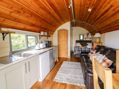 An open plan space with a kitchen area containing a sink and appliances a brown leather sofa and a bed at Meadow View in Rhayader