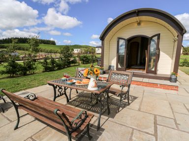 An outdoor patio area with a table, benches, a vase of sunflowers, and a small building with open double doors at Meadow View in Rhayader