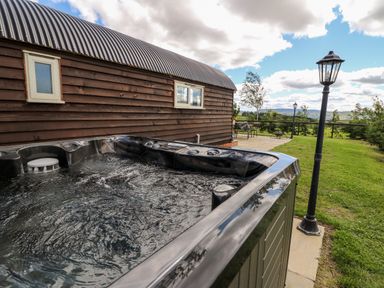 A hot tub next to a wooden building with outdoor patio furniture and lamp posts in a grassy yard at Meadow View in Rhayader