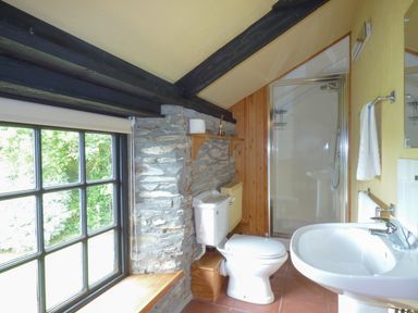 A bathroom with a toilet sink shower window and stone wall at Old Winery Cottage in Golant near Fowey