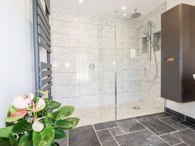 A bathroom with a walk in shower with patterned tiles black floor tiles a black radiator and a plant at Kelyow in St Day