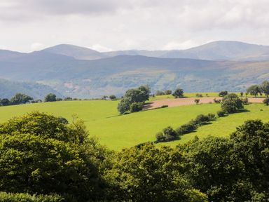 A rural landscape with green fields trees and distant mountains at Hen Stabl in Llanrwst