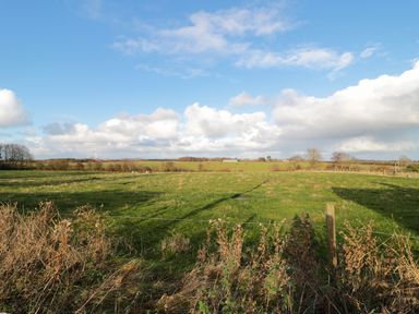 A green field with dry plants and a wire fence under a blue sky at Corbett Cottage in New Haggerston near Holy Island
