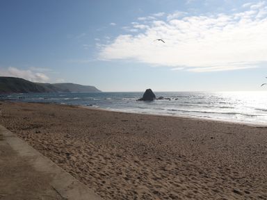 A sandy beach with a rock formation in the sea and seagulls flying above at Lower West Curry Cottage in Launceston