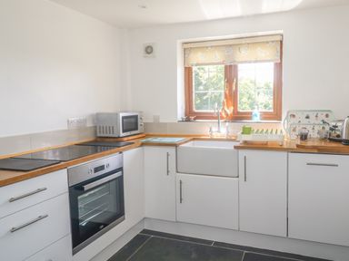 A kitchen with white cabinets a wooden countertop a built in oven microwave and a window with a sink below at Lower West Curry Cottage in Launceston