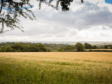 A field of crops with trees and rolling hills under a cloudy sky at Dartmoor View in Gunnislake