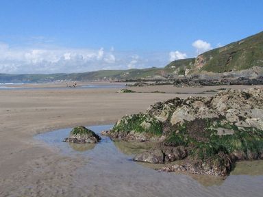 A beach with rocks covered in seaweed and hills in the background at Dartmoor View in Gunnislake