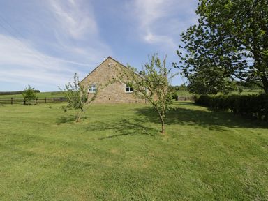 A stone house with two small trees in the lawn and a fence in the background at Rede River Cottage in West Woodburn