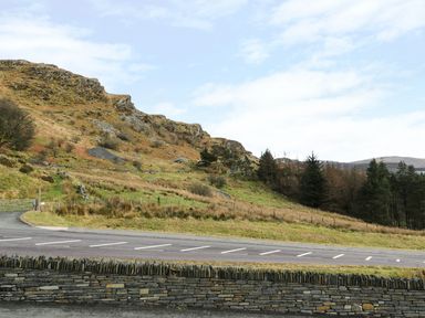 A hillside with trees and grass behind a road and a stone wall at Miners Cottage in Blaenau Ffestiniog
