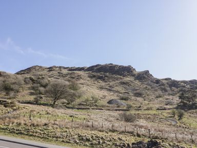 A hillside with grass and scattered trees next to a road at Miners Cottage in Blaenau Ffestiniog