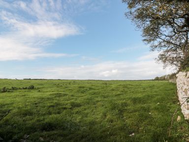 A grassy field with a stone wall and a tree on the right side under a blue sky at Snowdrop Cottage in Llantwit Major