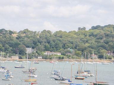 A harbor with multiple sailboats anchored near a shoreline with trees and houses at Dawn Catcher in Falmouth