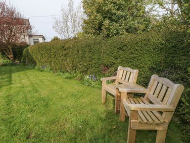A grassy garden with two wooden benches and a tall hedge lining the back near a house at Tyn Y Giat in Brynsiencyn near Beaumaris