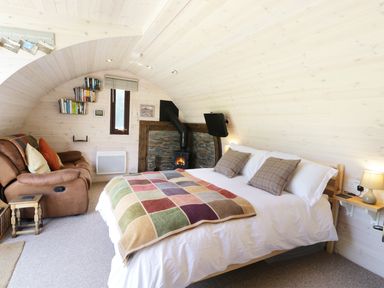 A curved wooden room with a bed a sofa a fireplace and a small television at Idris Pod in St Asaph