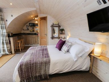 A bedroom with a bed next to a kitchenette and wooden curved walls at Gelert Pod in St Asaph