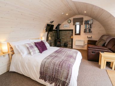 A bedroom with a bed a wood stove a brown sofa and shelves with books at Gelert Pod in St Asaph
