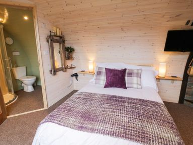 A bedroom with a double bed with purple cushions and a blanket a wall-mounted TV and an adjacent bathroom at Gelert Pod in St Asaph