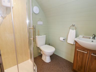 A bathroom with a shower cubicle toilet sink with wooden cabinet and towel ring at Gelert Pod in St Asaph