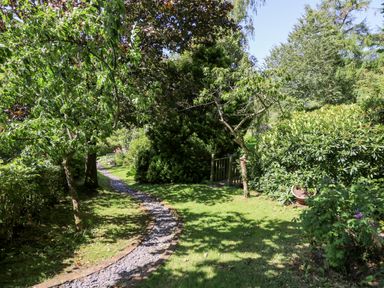 A garden with a gravel path flanked by trees and shrubs at Dolgenau Hir - The Barn in Llawr y Glyn near Trefeglwys