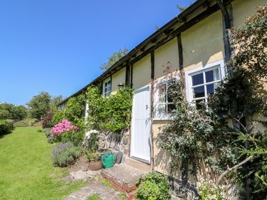 Exterior of a house with white windows and door surrounded by green plants and flowers at Dolgenau Hir - The Barn in Llawr y Glyn near Trefeglwys
